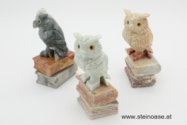 Eule auf Buch - Speckstein Gr.M